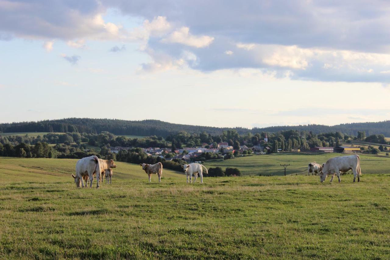 Country house Ctyri